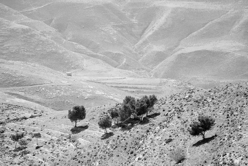 timeless landscape ii.jpg